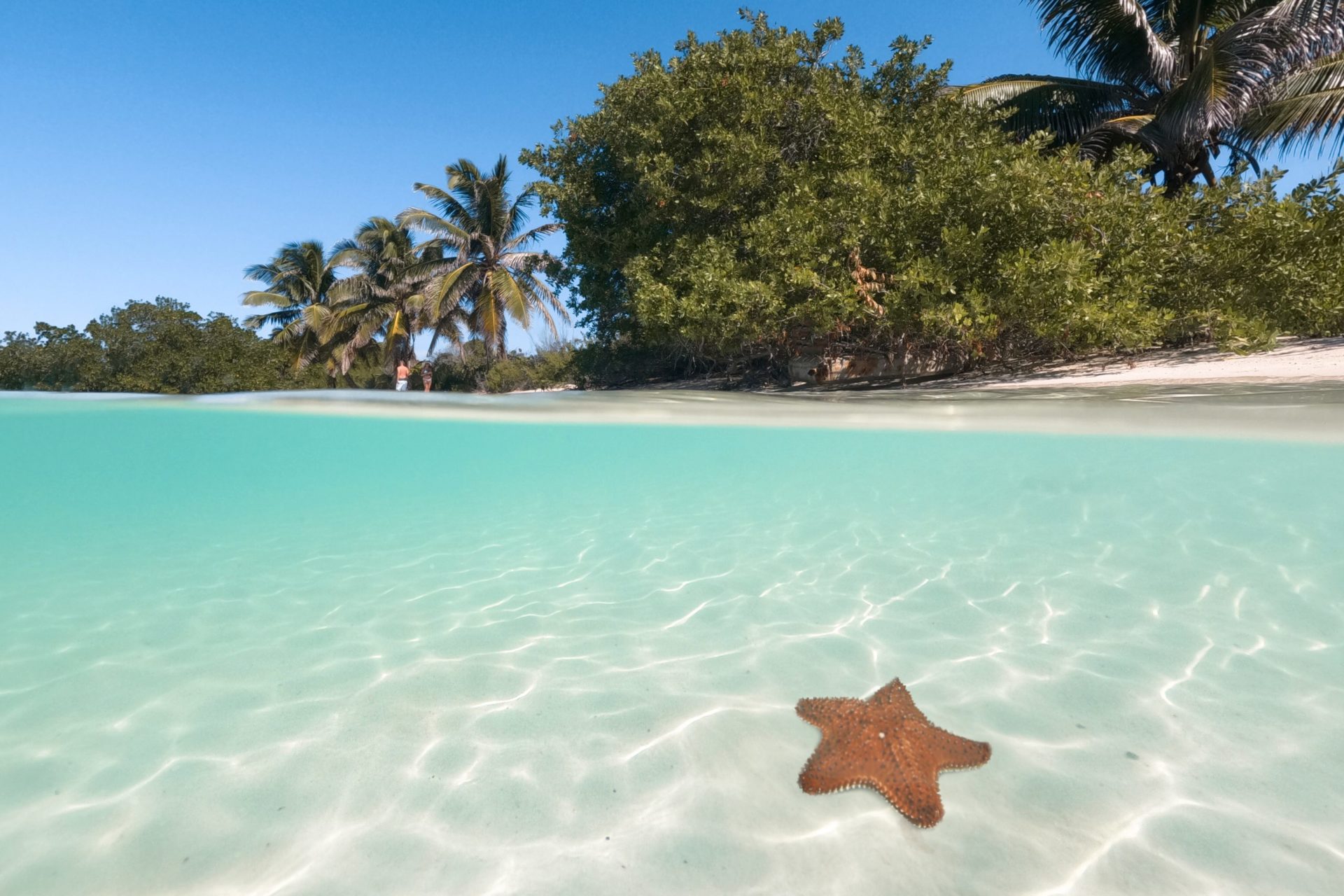 Isla Contoy